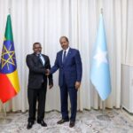 Ethiopia’s Ambassador Extraordinary and Plenipotentiary in Somalia, presented his letter of credentials to the President of #Somalia.